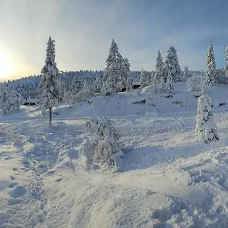 Modernized Mountain Near Treungen *