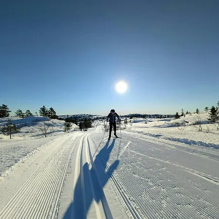 Modernized Mountain Near Treungen *