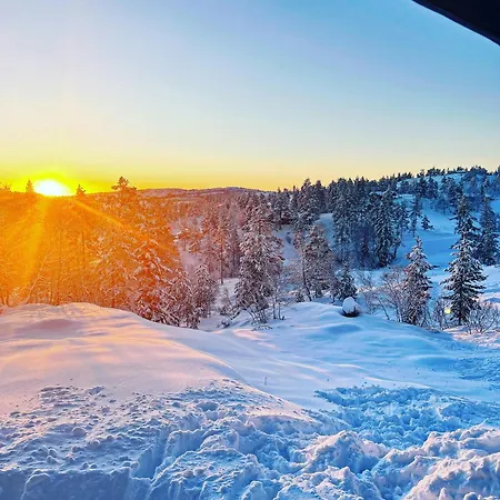 Modernized Mountain Near Treungen