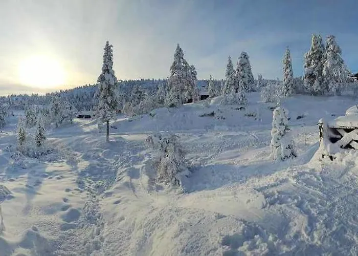 Modernized Mountain Near Treungen *